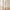 [Pre-Sale] Shell Inlay 3-Door Accent Console Cabinet, 47"