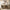 [Pre-Sale] Shell Inlay 3-Door Accent Sideboard, 63"