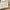 [Pre-Sale] Shell Inlay 3-Door Accent Sideboard, 63"