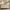 [Pre-Sale] Shell Inlay 3-Door Accent Sideboard, 63"
