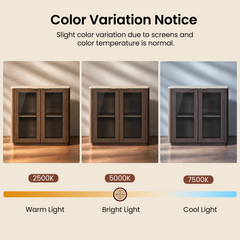 Diagram comparing a two-door cabinet under warm, bright and cool light, showing its appearance shifting from golden brown to gray-brown, with a notice about screen and color temperature variations.