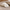 Sleeping Bear Plush Ottoman - White Polar Bear Floor Lounger, 34.4" Long