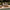 [Pre-Sale] Teak Lattice Outdoor Long Coffee Table