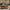 [Pre-Sale] Teak Lattice Outdoor Long Coffee Table