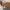 [Pre-Sale] Teak Lattice Outdoor Long Coffee Table