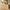 Travertine_54_6-Drawer_Chest_of_Drawers_Light_Wood_04 Main