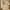 Travertine_54_6-Drawer_Chest_of_Drawers_Light_Wood_05 Main
