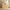 Travertine_54_6-Drawer_Chest_of_Drawers_Light_Wood_11 Main