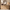 Travertine Wood 4-Door Handleless Soft-Close Sideboard