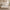 [Pre-sale] Veneeray King Suede Upholstered Wingback Bed Frame with Curved Valley Headboard