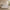 [Pre-sale] Veneeray Queen Suede Upholstered Wingback Bed Frame with Curved Valley Headboard