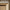 [Pre-Sale] 30" Bathroom Vanity with Sink, Wood Bathroom Cabinet with Drawer